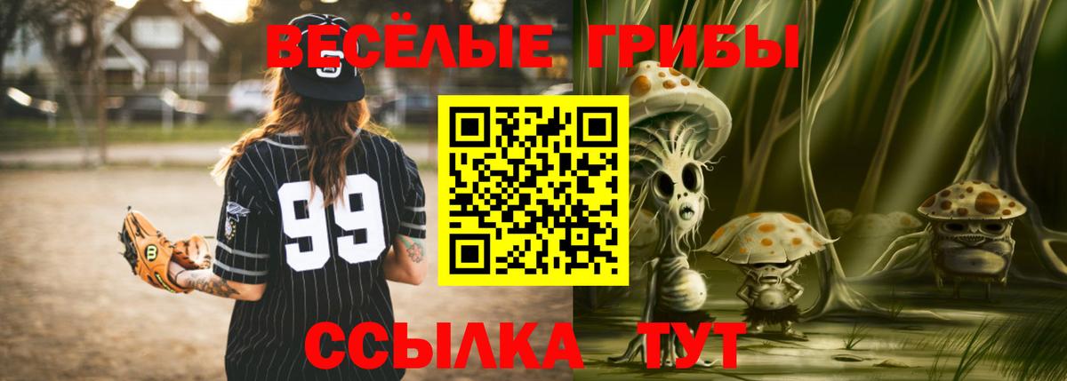 Псилоцибиновые грибы мицелий Морозовск